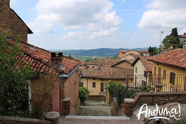 Borgo di Cocconato