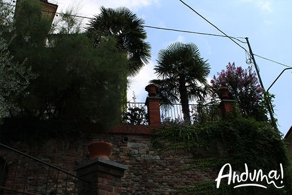 borgo di Cocconato