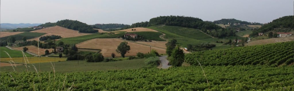 balena-tersilla monferrato-balena